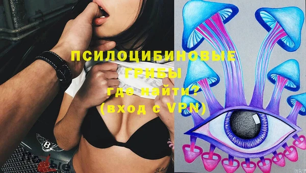 бошки Кулебаки